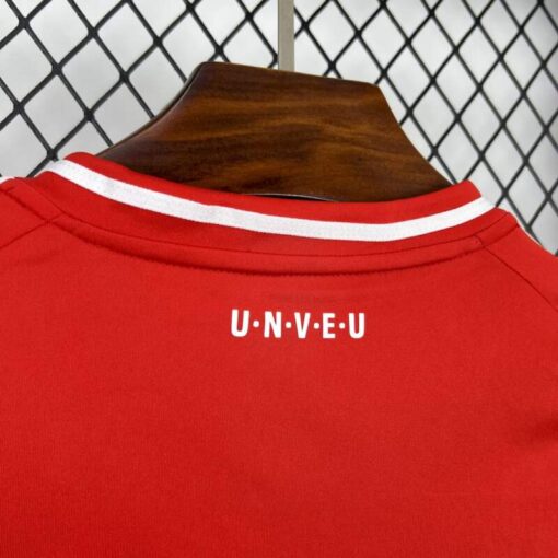 Camiseta FC Union Berlin Primera Equipación 2025-2026-cuello dorsal